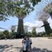 Singapore Itinerary with kids