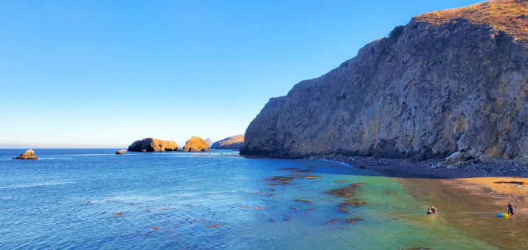 Channel Islands National Park Day Trip from Ventura With Kids